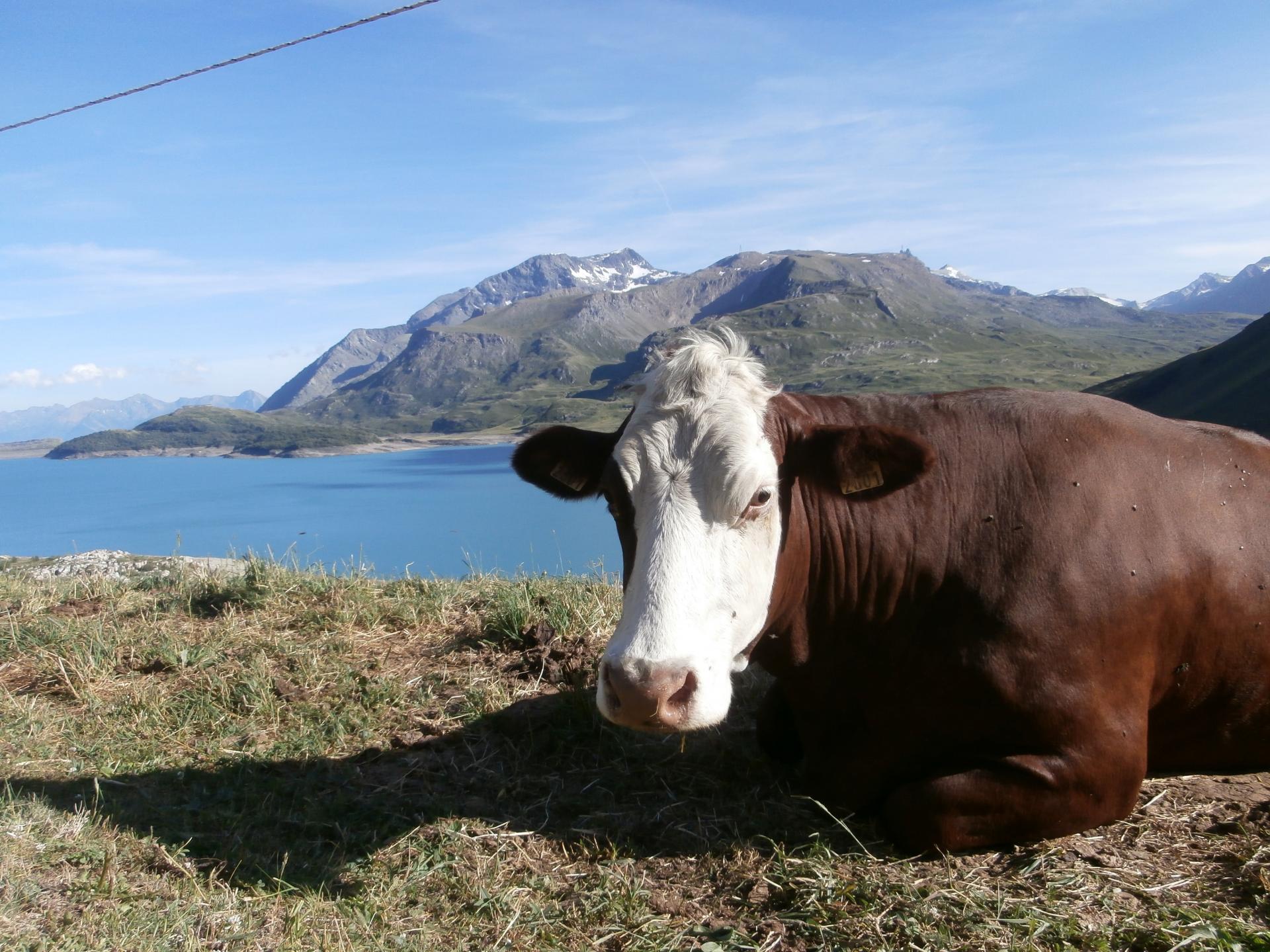 Mont Cenis