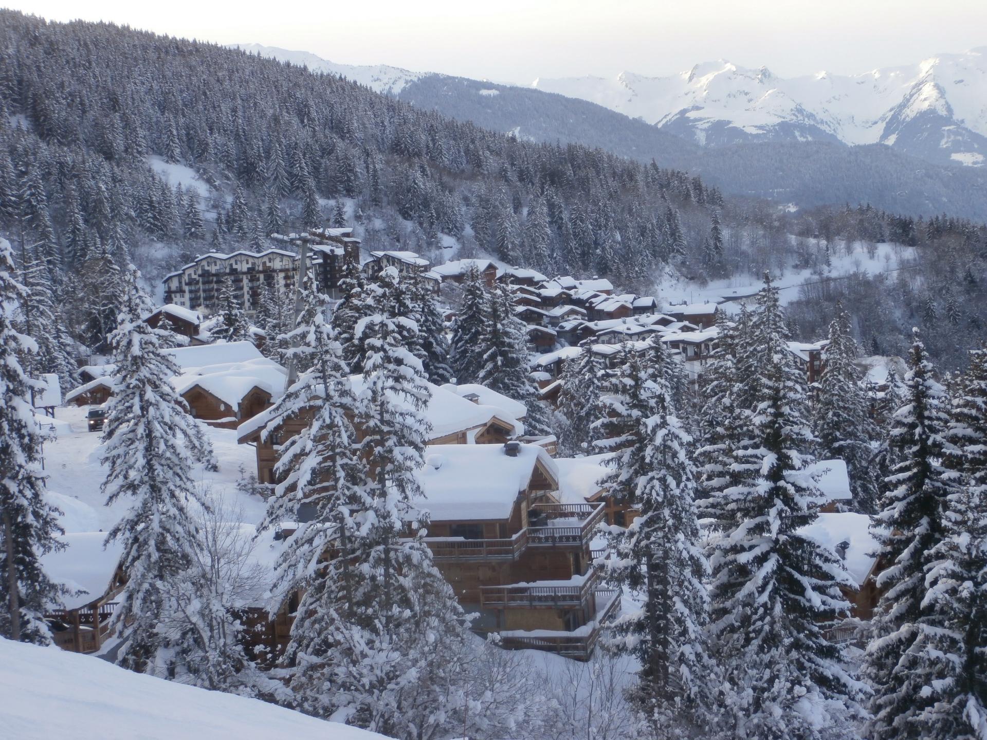 la Tania 2019  (Tarentaise)