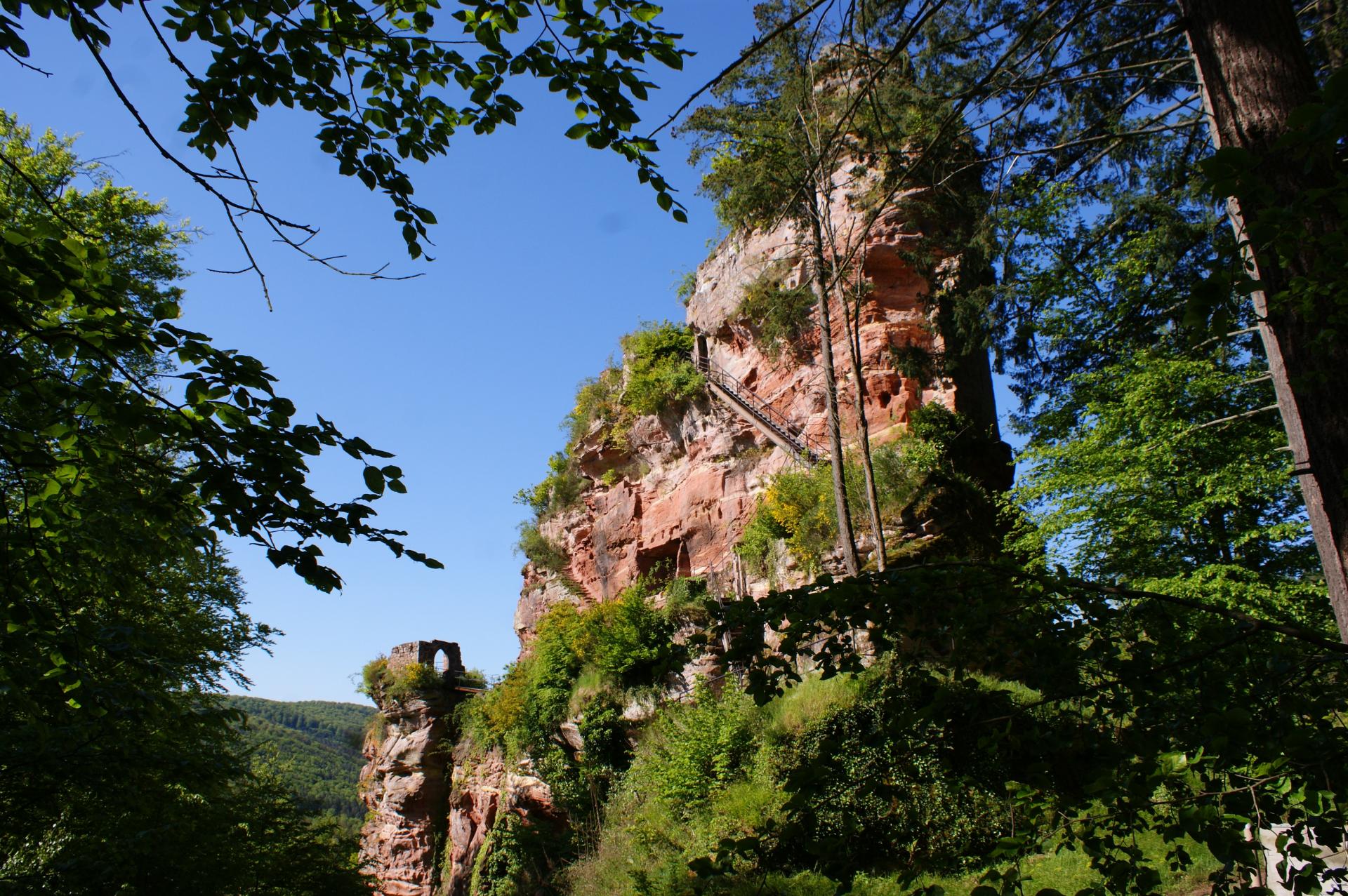  Froensbourg  (Alsace)