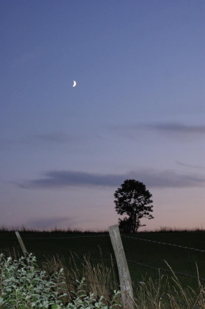 Clair de lune (Cantal)