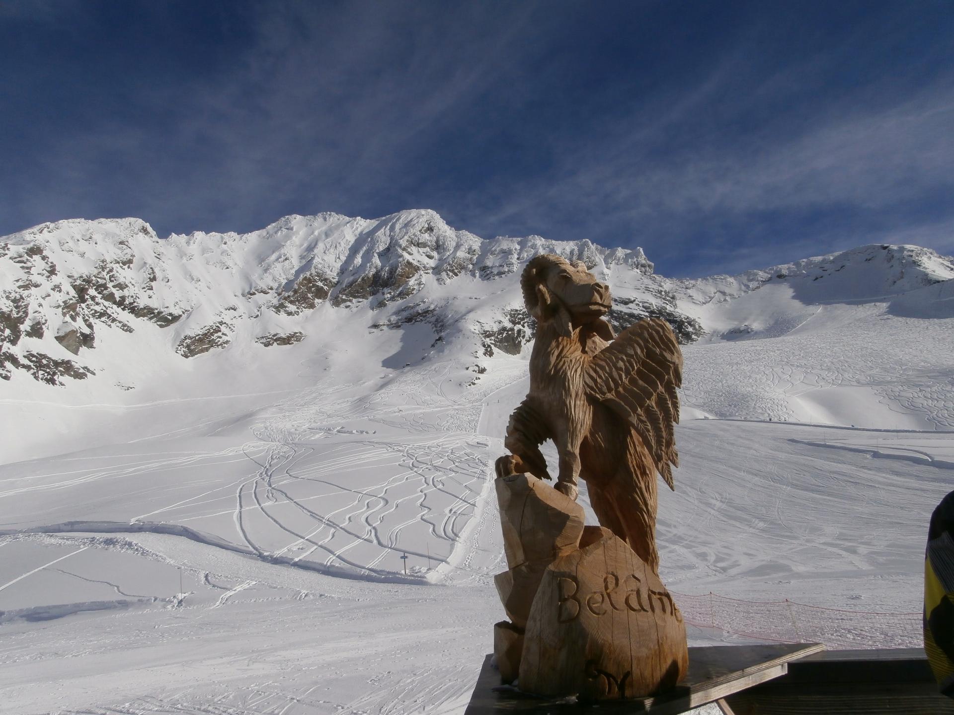 Mouflon des Alpes ( la Plagne)