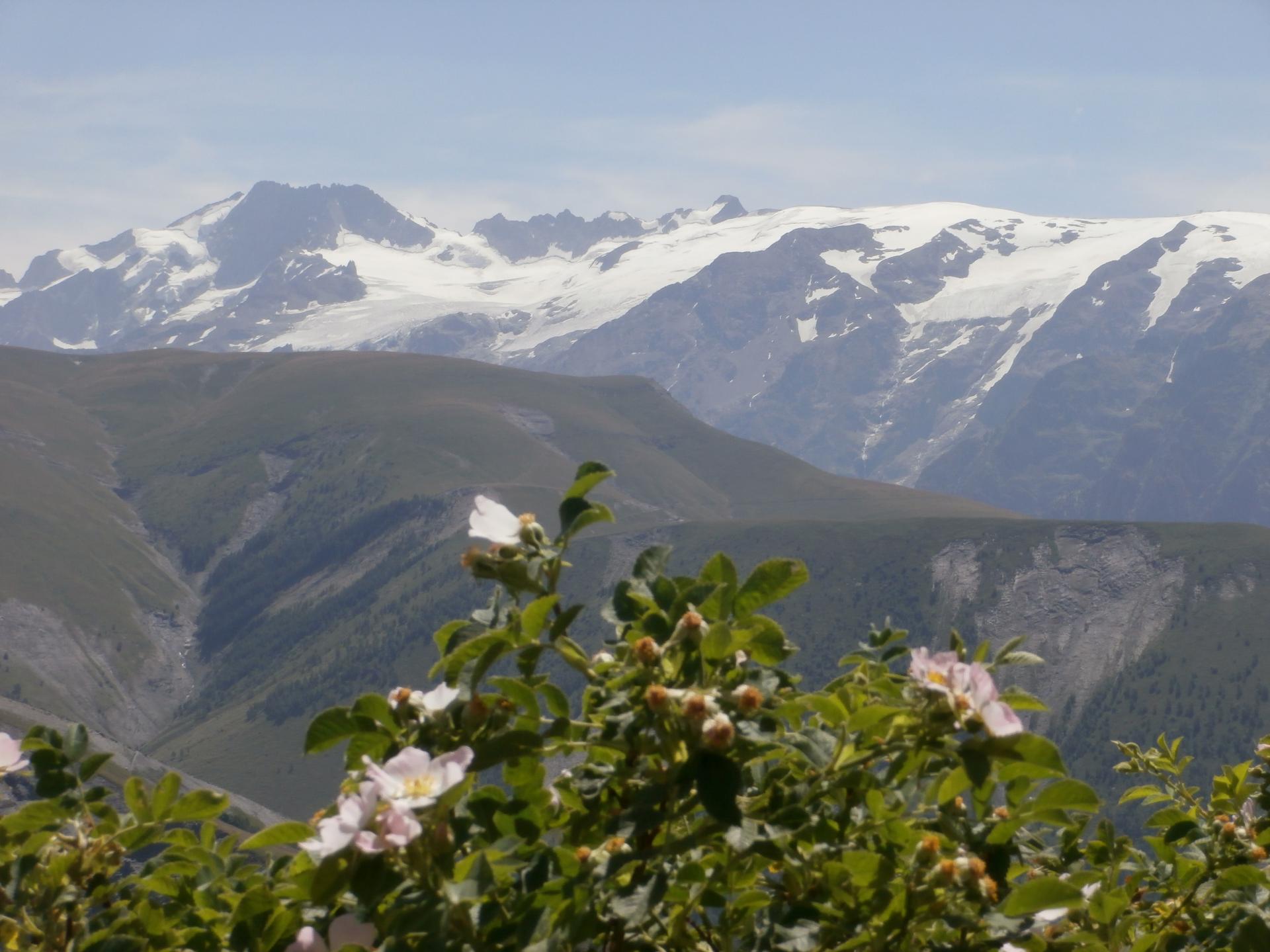 Barre des Ecrins depuis le col de Sarenne