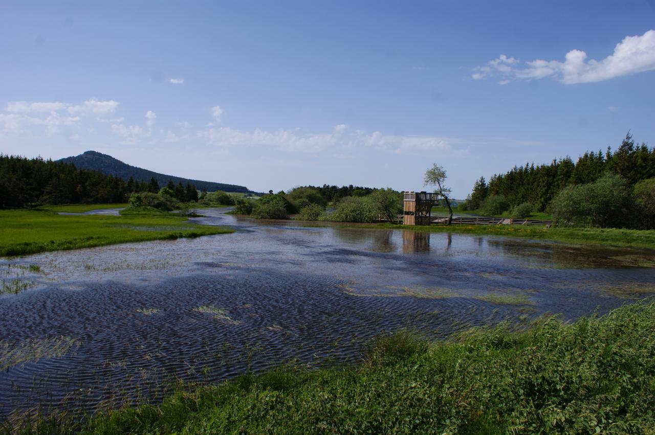 Etang des Barthes (Haute Loire)