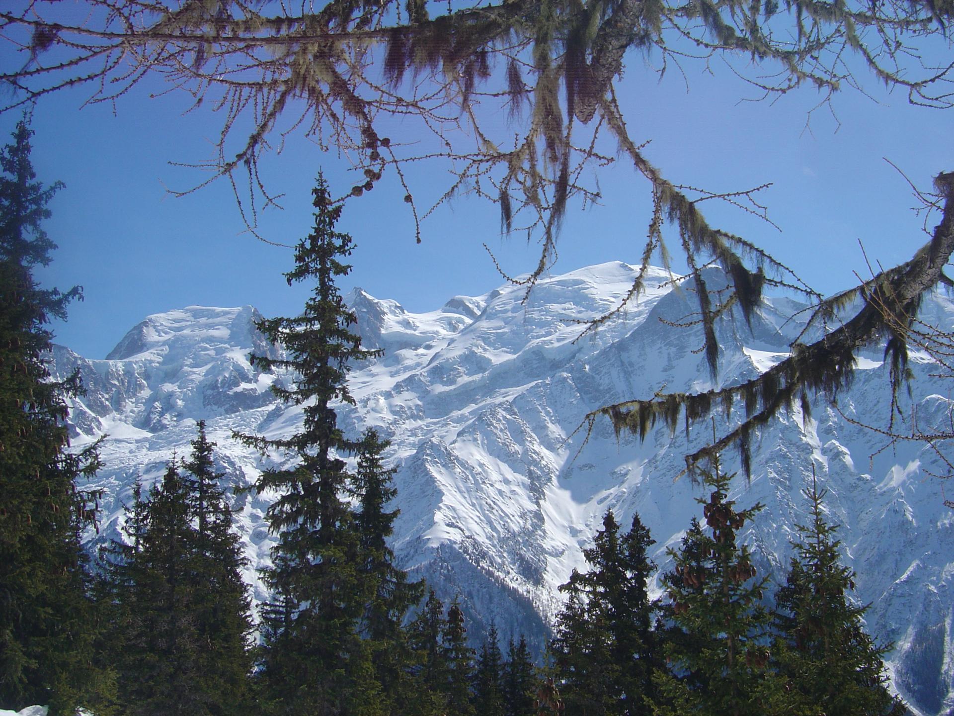 Massif du Mont Blanc