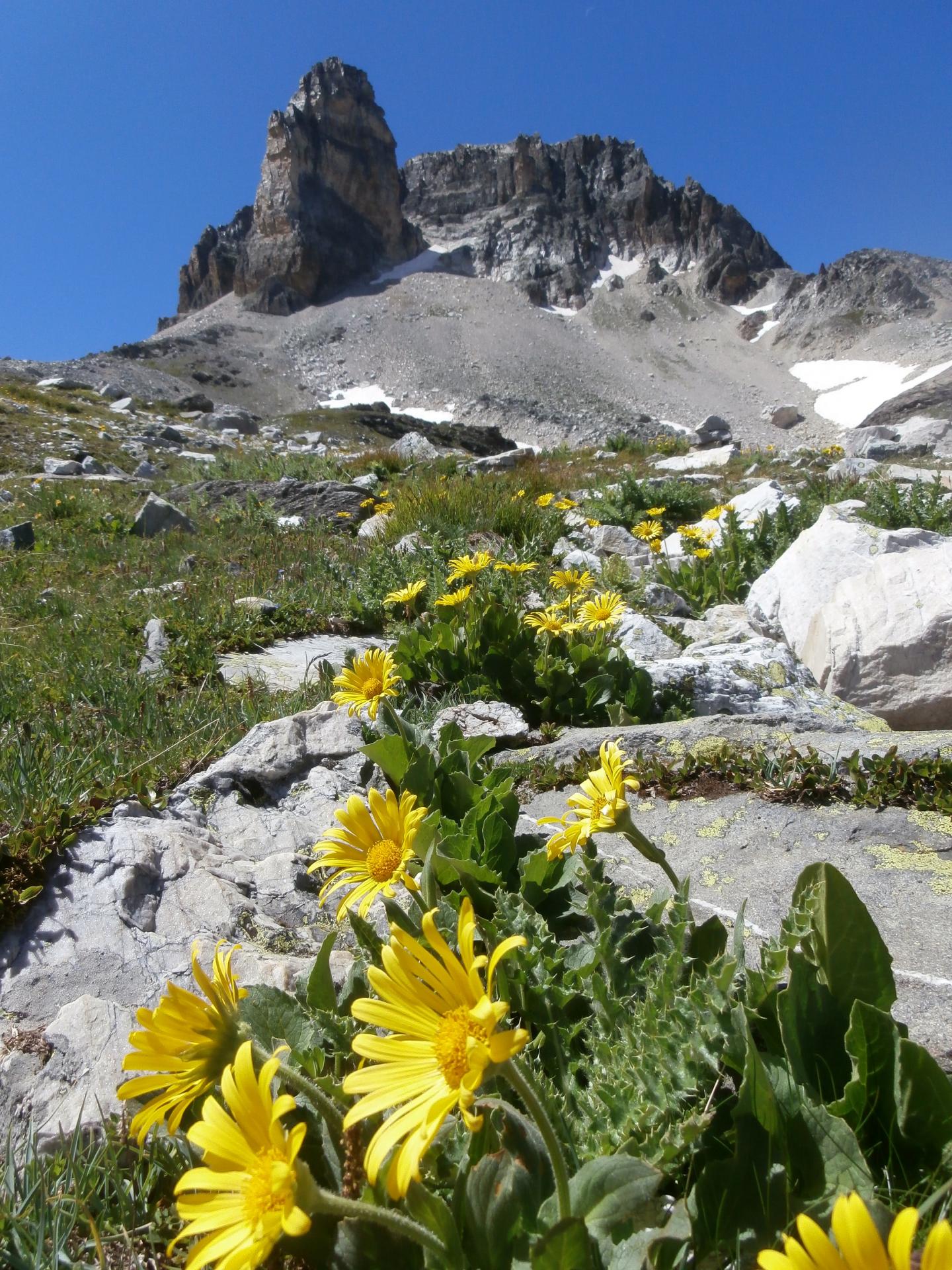 Mont Tabor