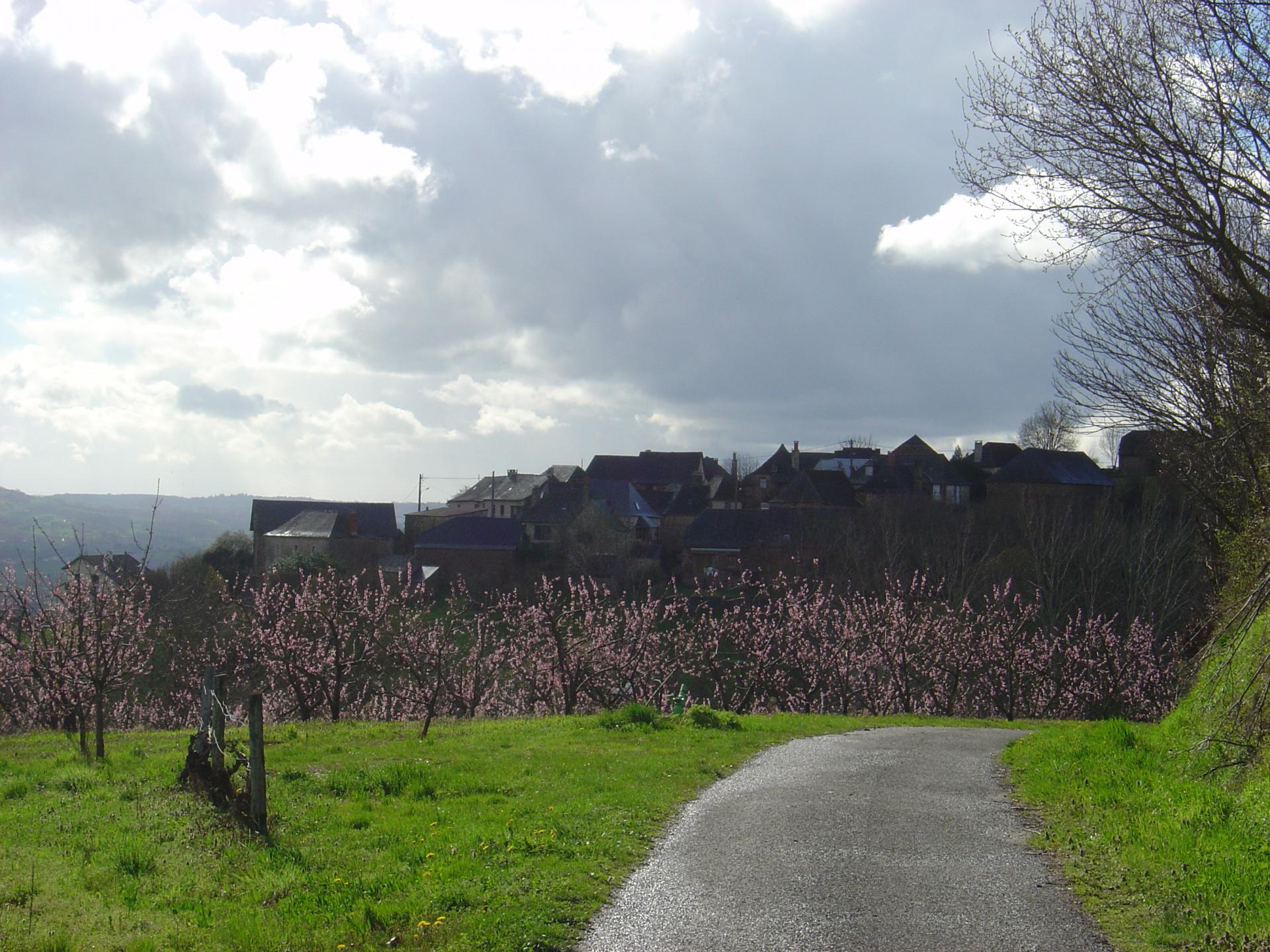 Vertougit en fleurs (Corrèze)