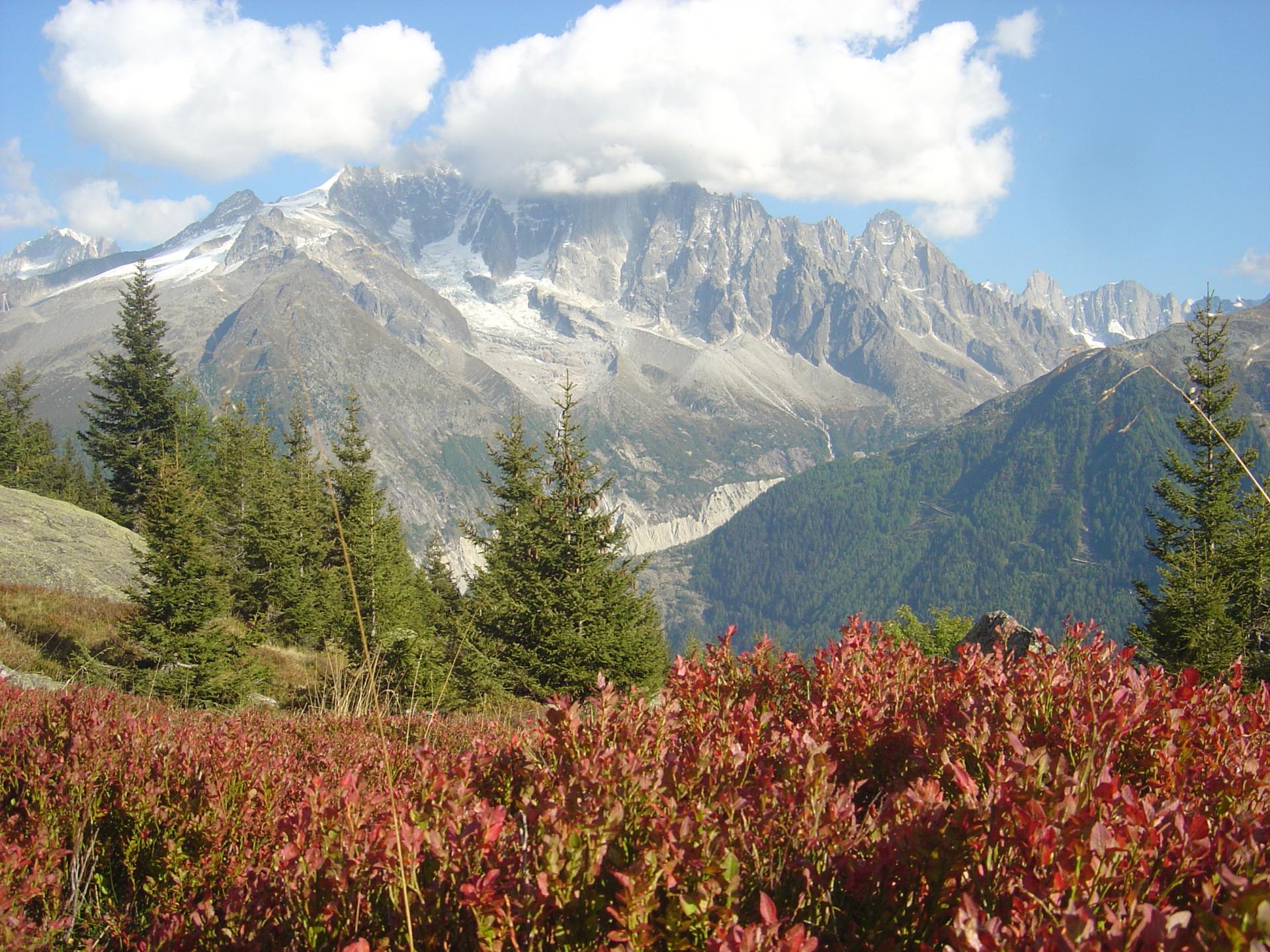 Argentière