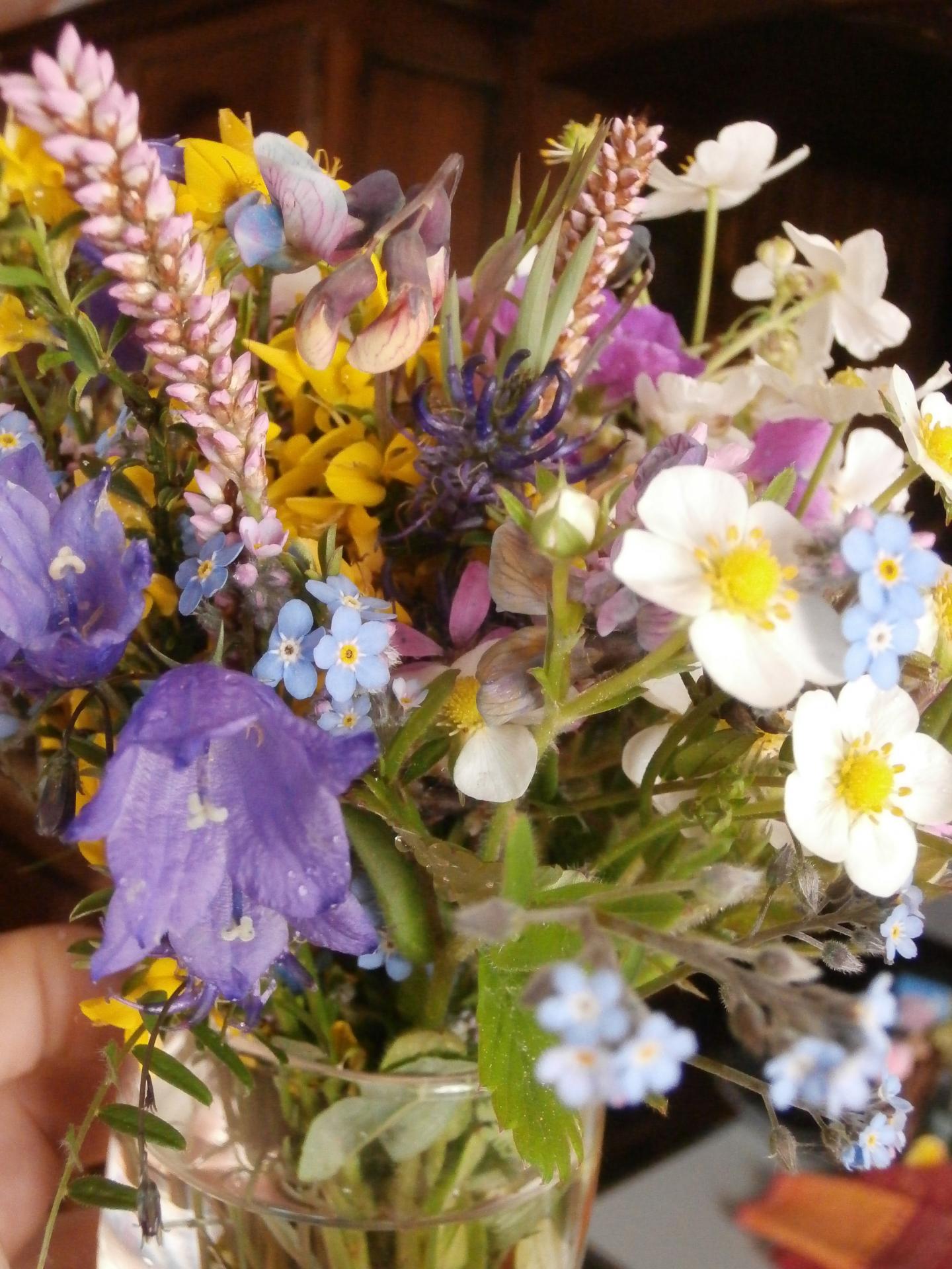 le printemps dans un verre à eau