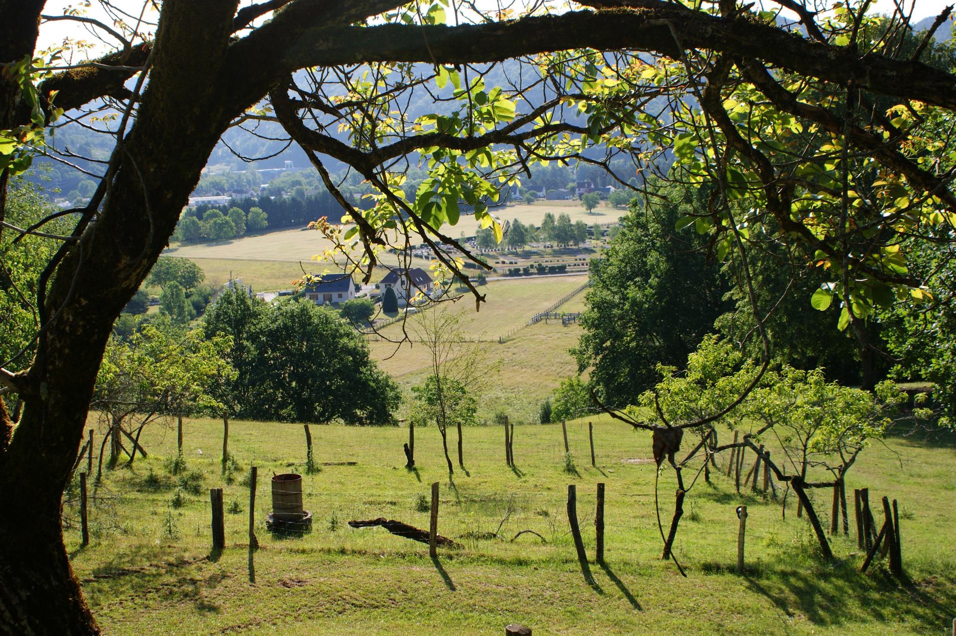 Campagne (Argentat, Corrèze)