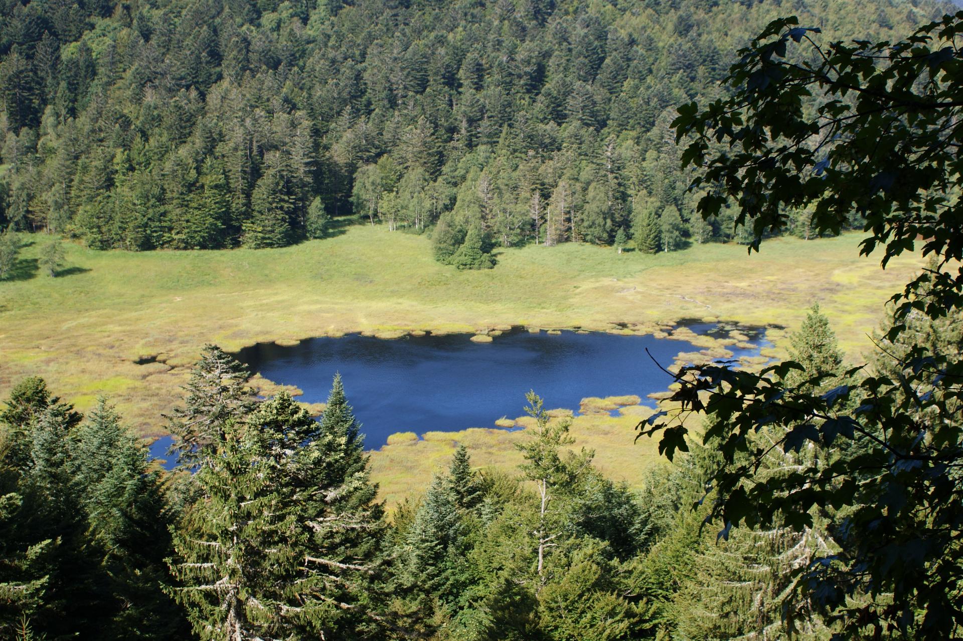 l'étang de Machey (Vosges)