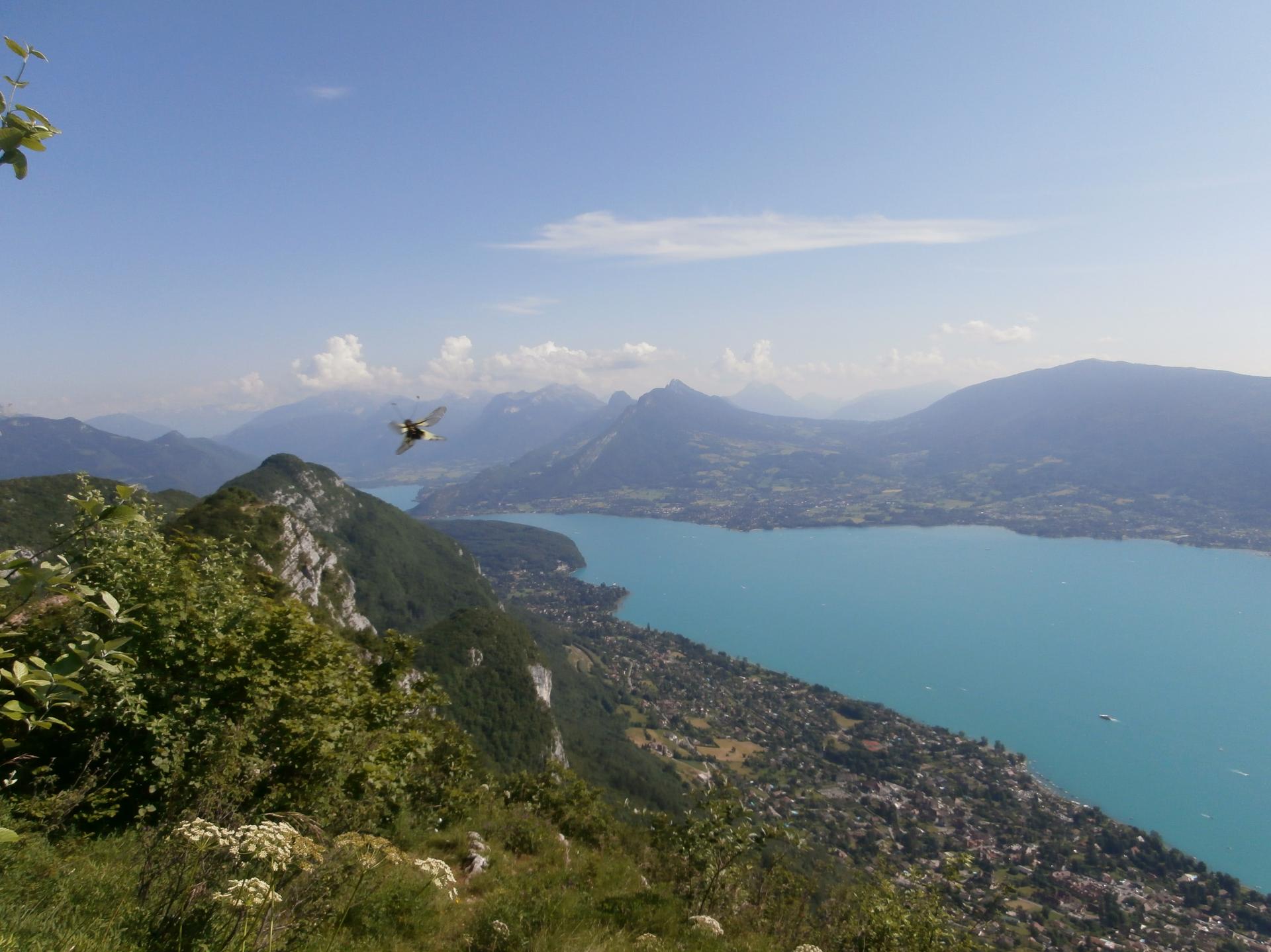 Lac d'Annecy