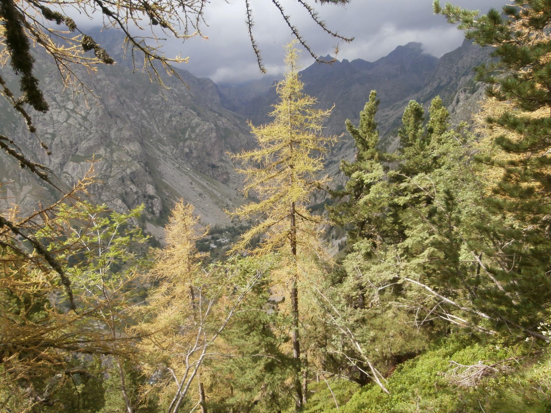 vallon de la Gordolasque (Alpes Maritimes)