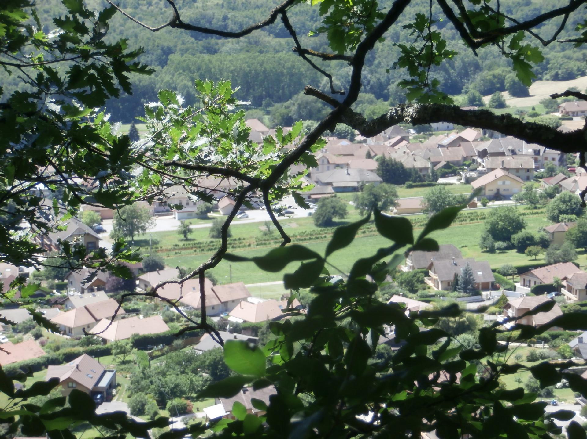 Chindrieux  (Savoie)