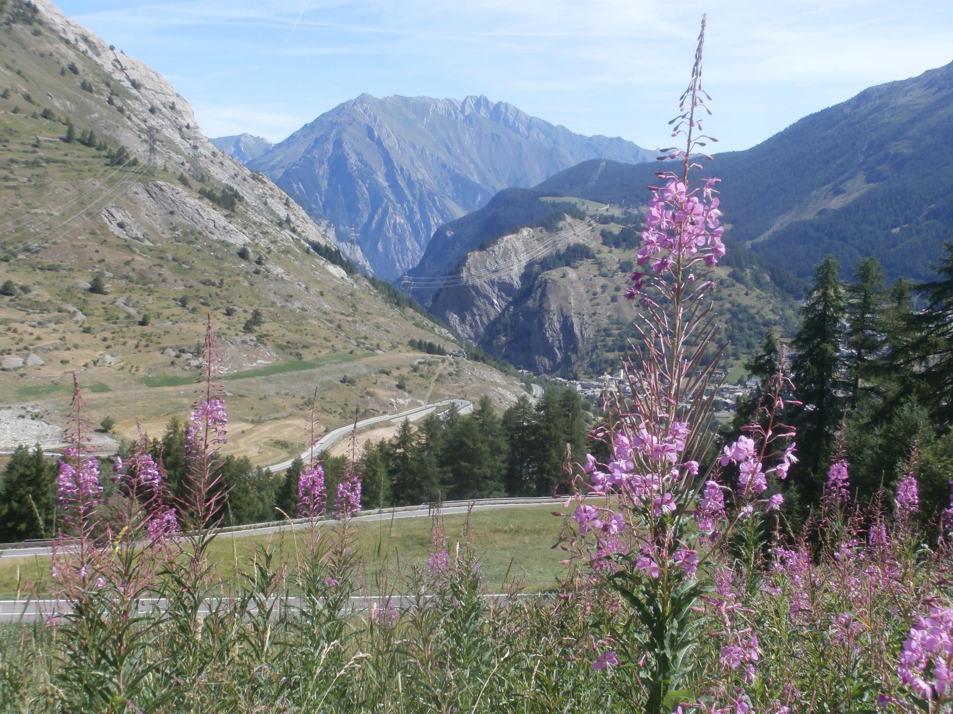 col du Petit St Bernard