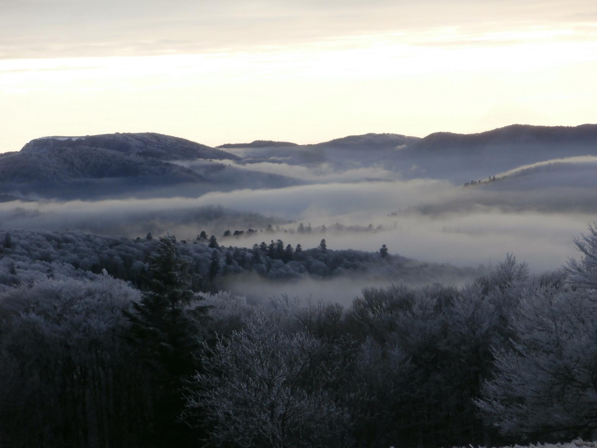 brumes (Grand Ventron, Vosges)