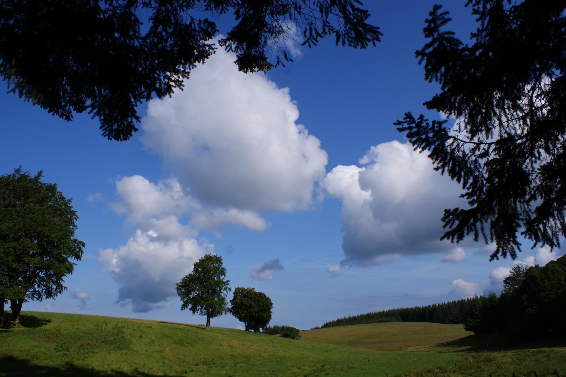 Prairie -  les Cars (Corrèze)