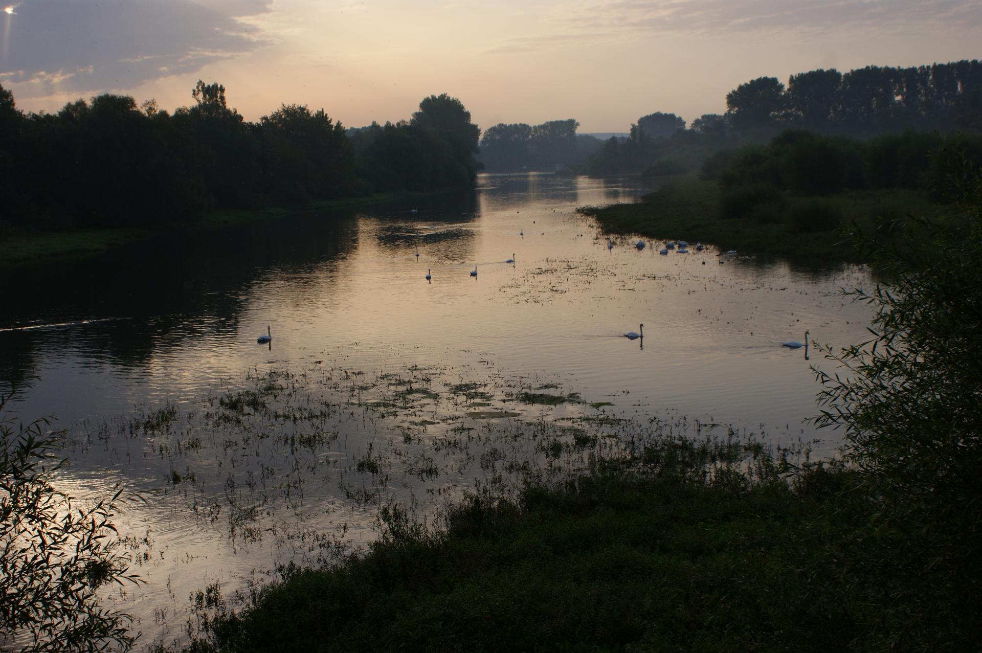 Munchaussen (Bas Rhin) Canards