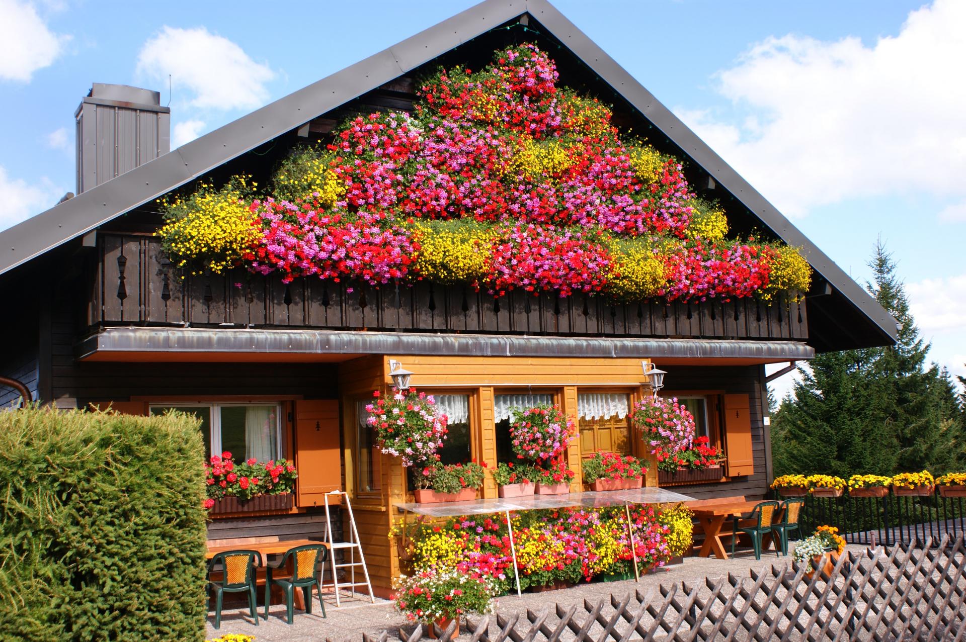 chalet de Schnepfenried (Haut Rhin)