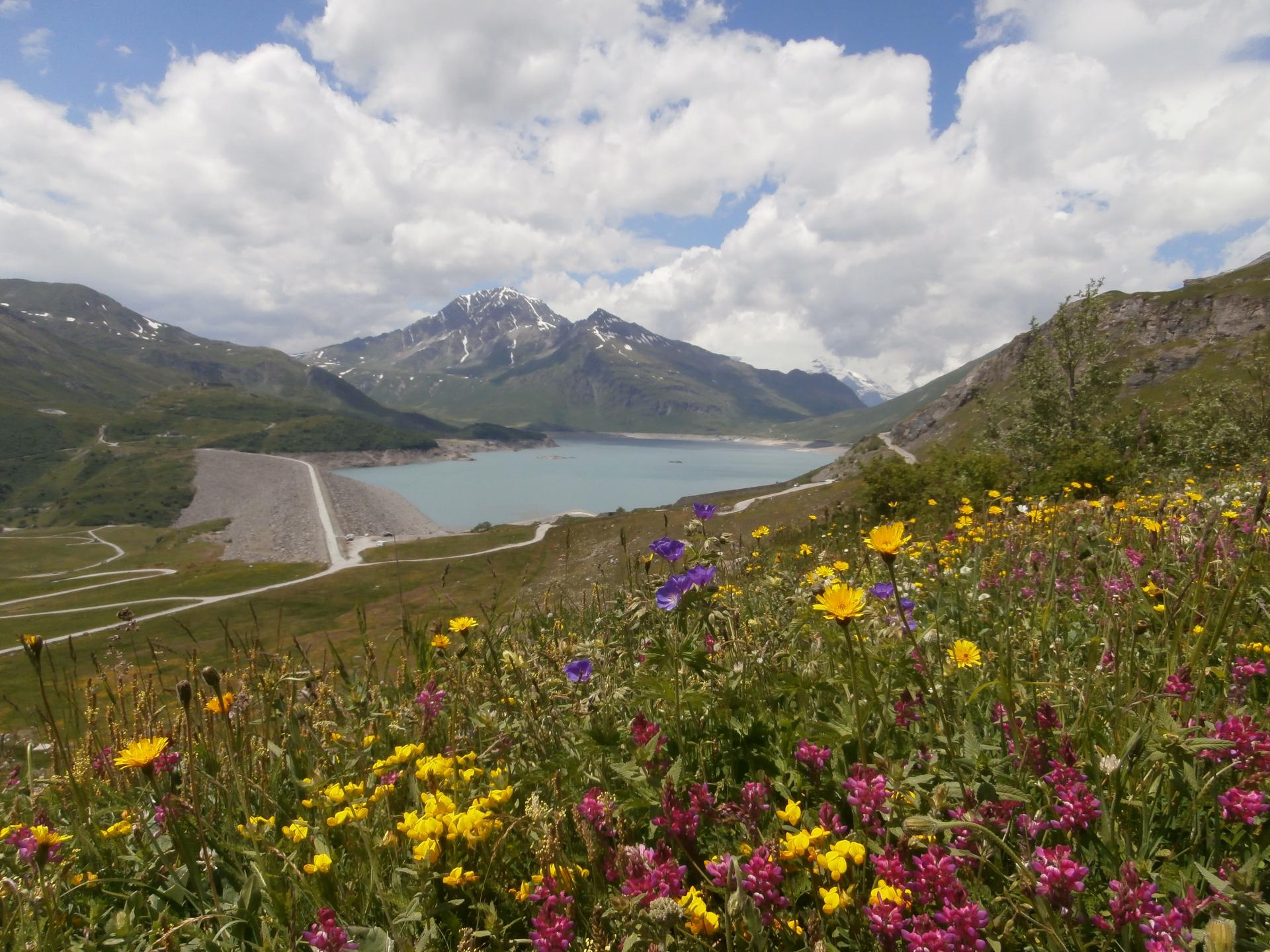 Monte Ceniso