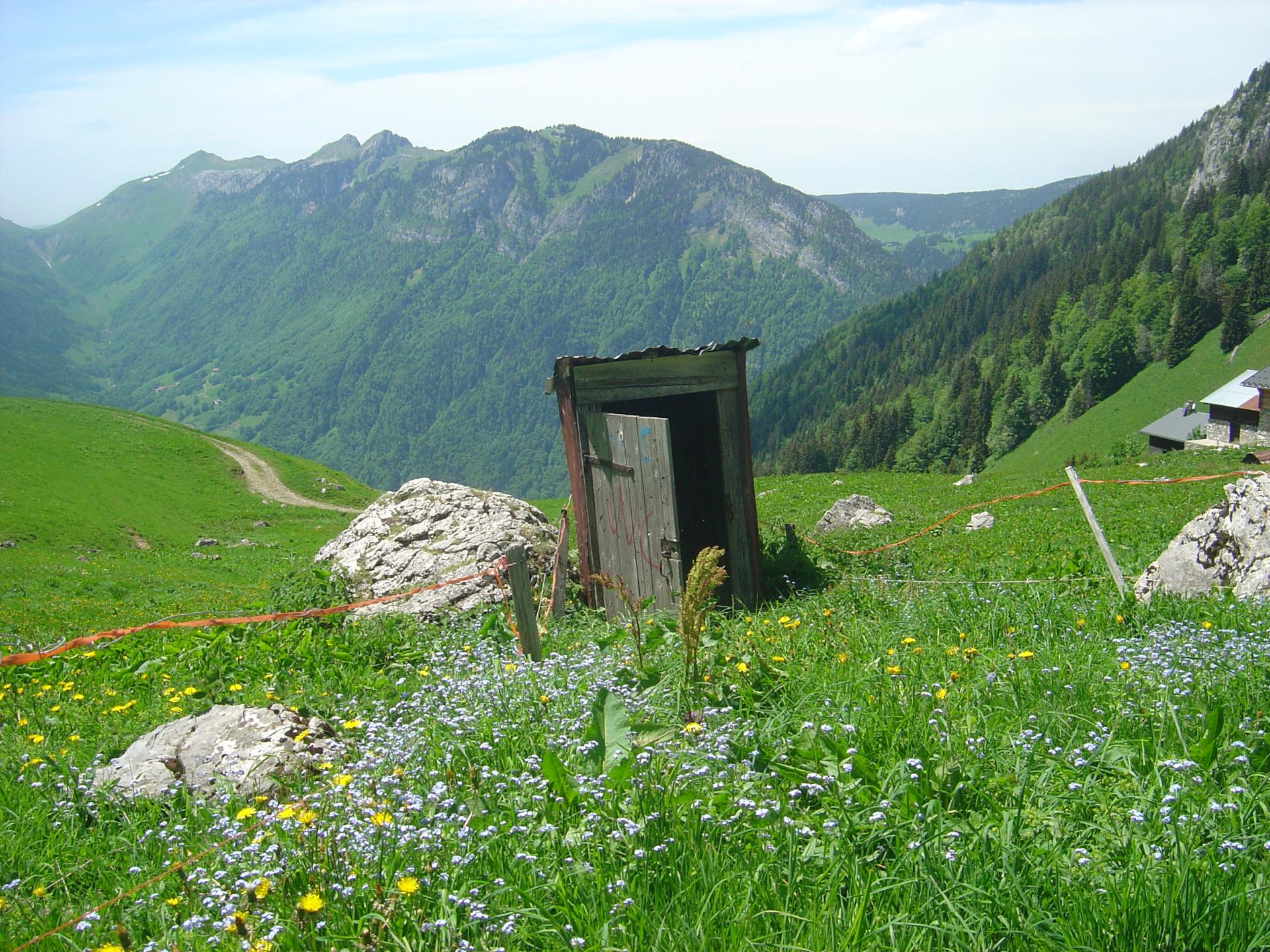 Ma cabane au fond du jardin