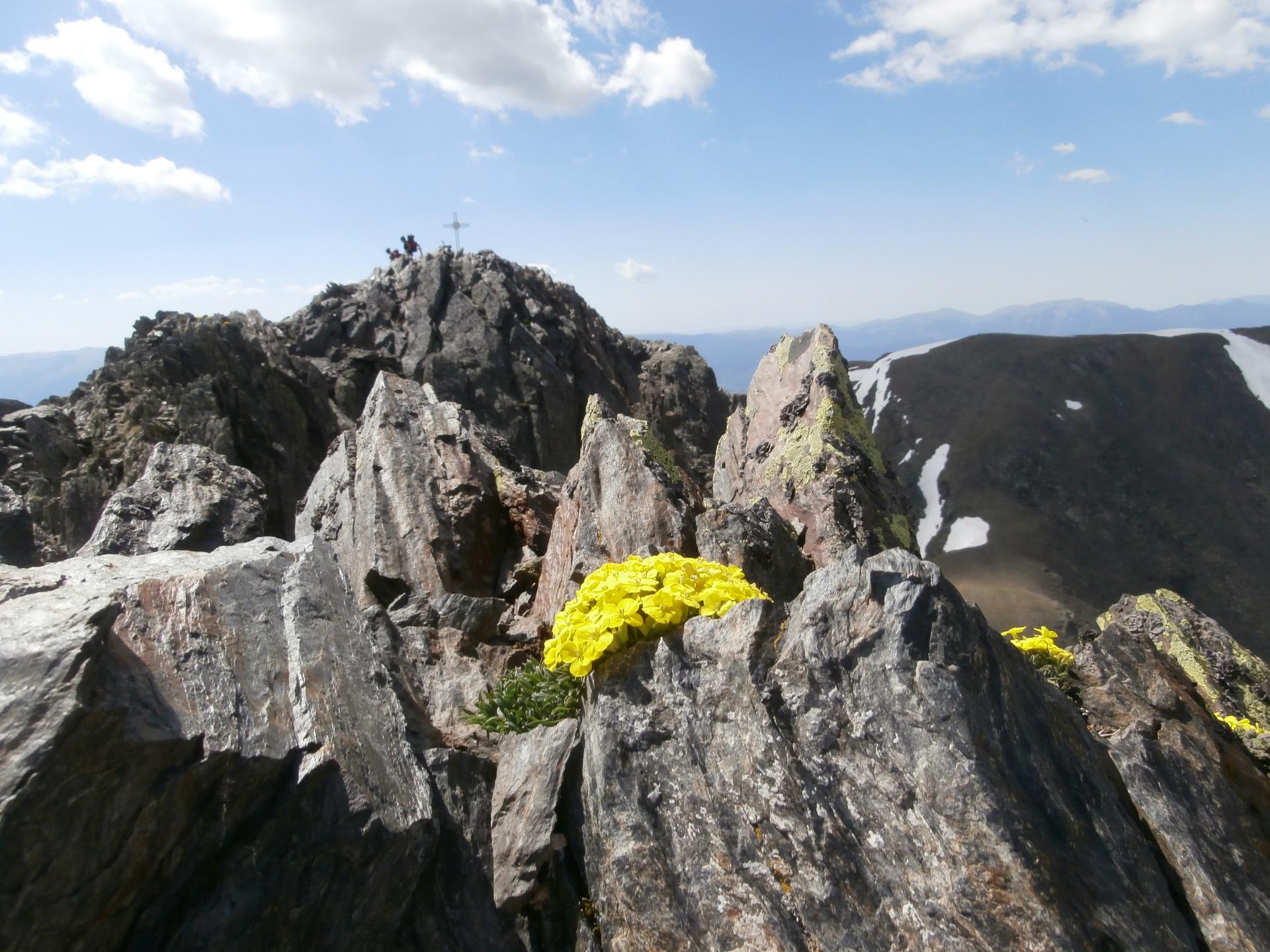 Puig Carlit (Ariège)