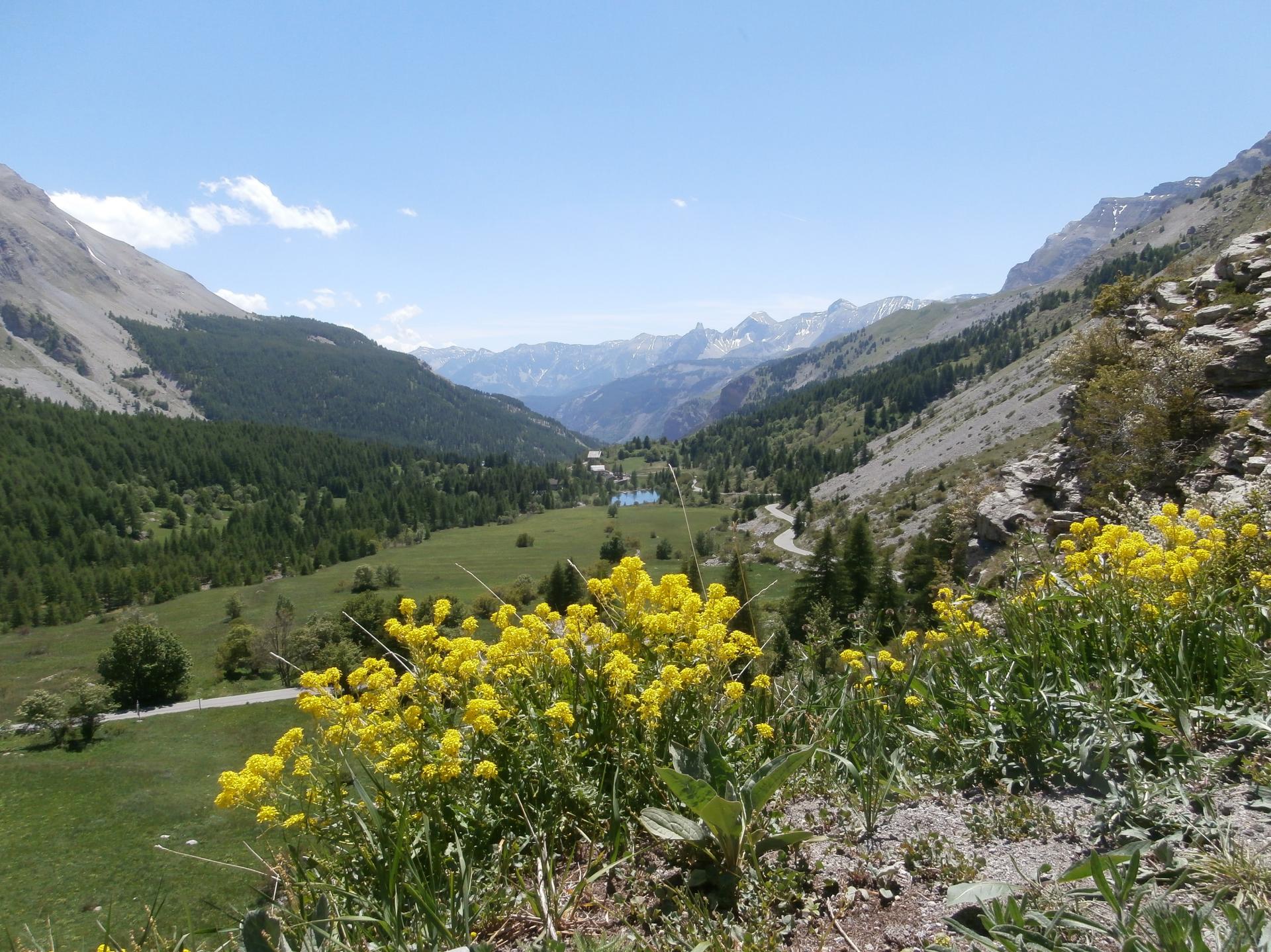 Vallon de la Sanguinière (Mercantour)