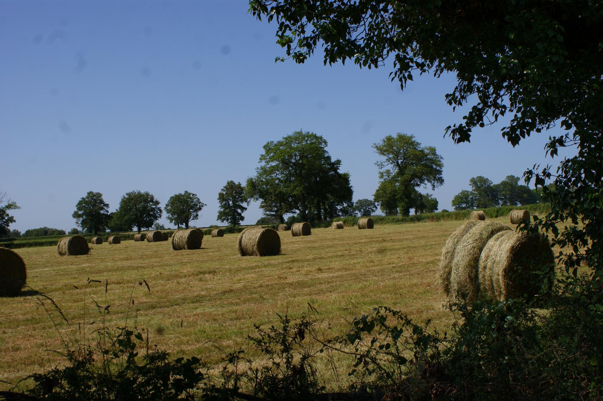 Chambon Sur Voueize (Creuse)