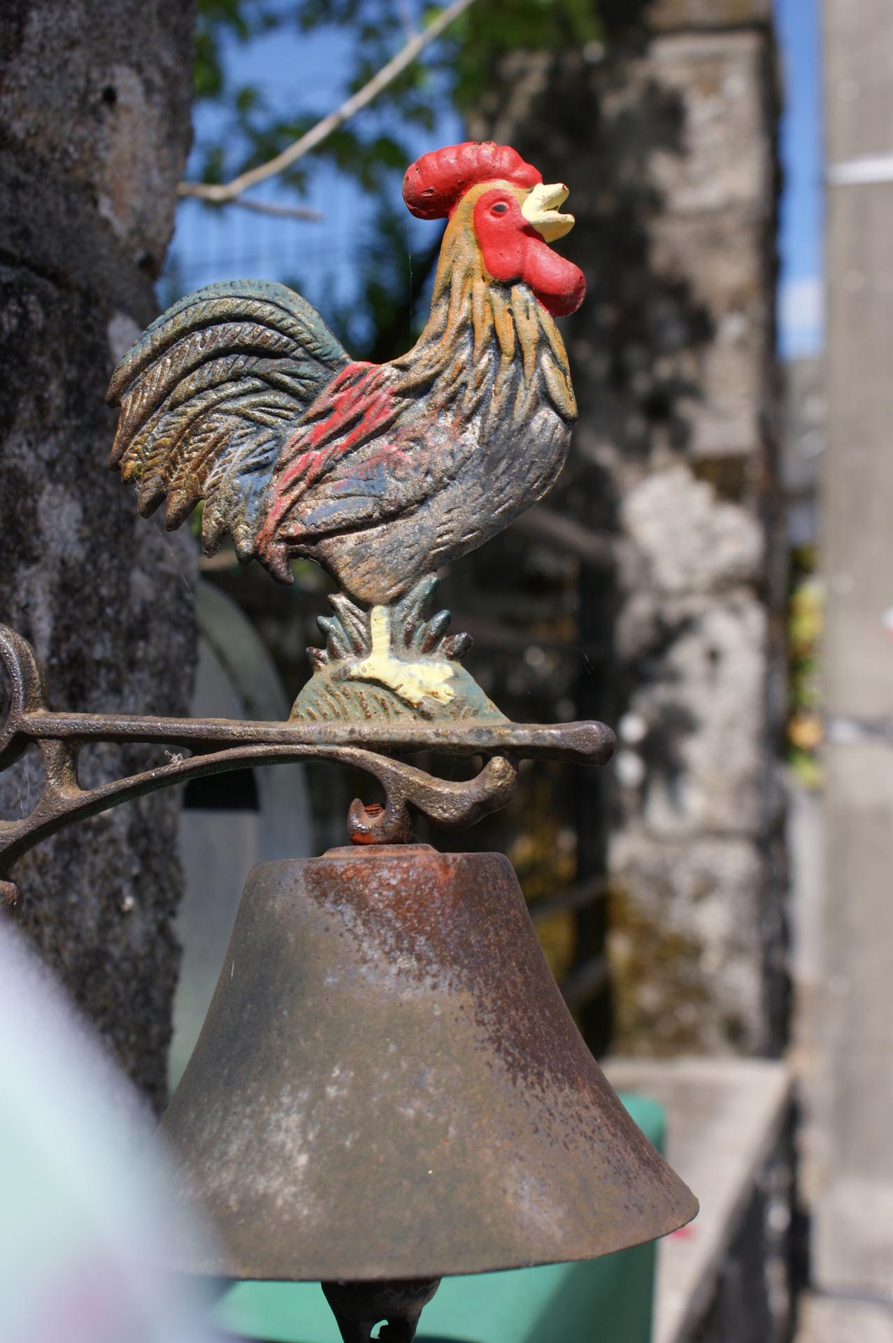 Coq Cloche