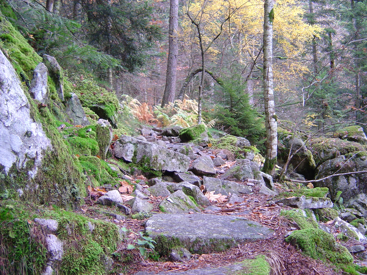 Chemin de Pierre (Vosges)