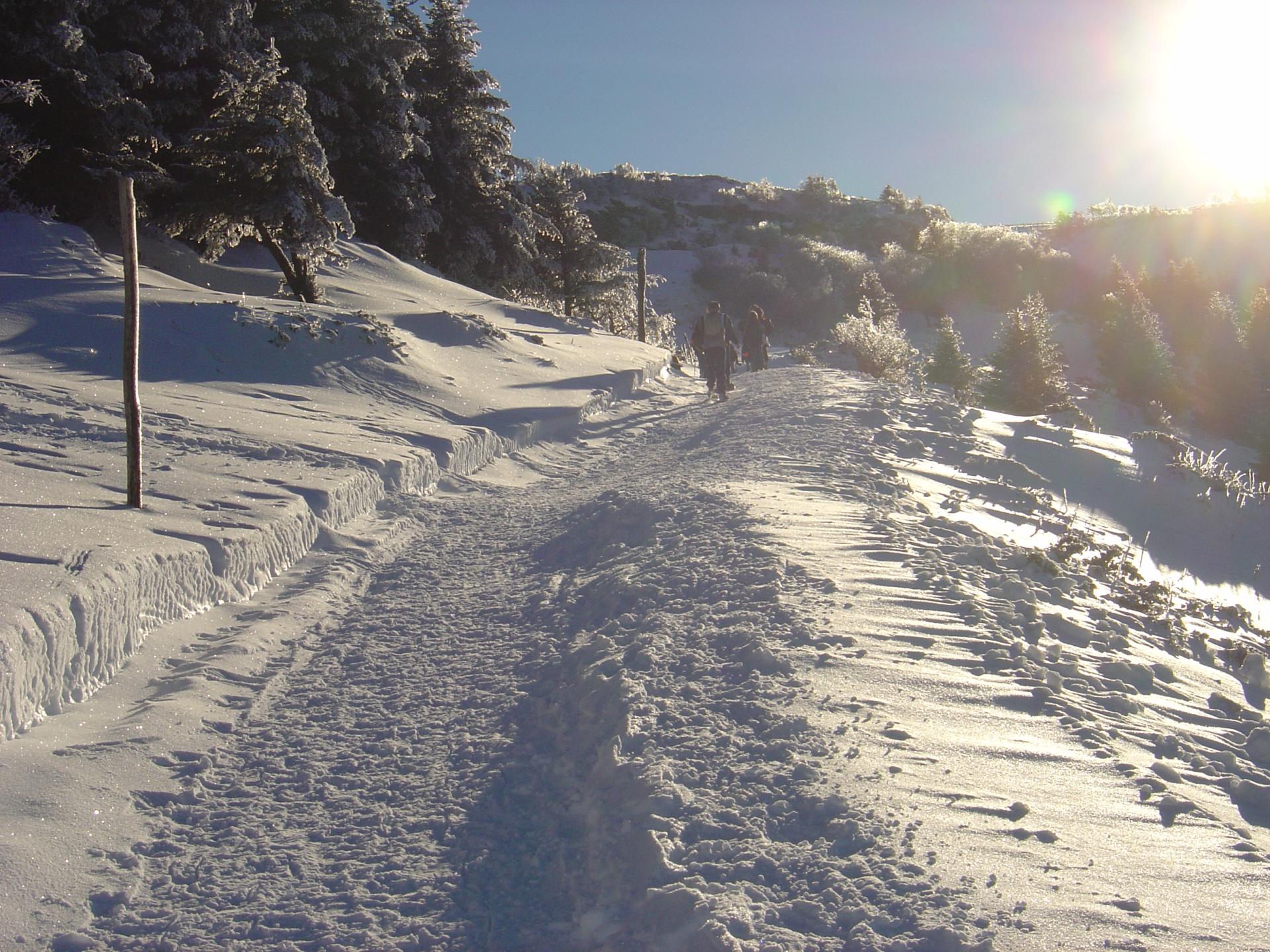 Chemin de neige (Sancy)