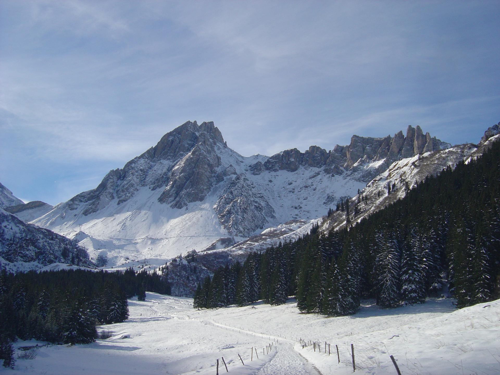 vallon du Nant Borrant 