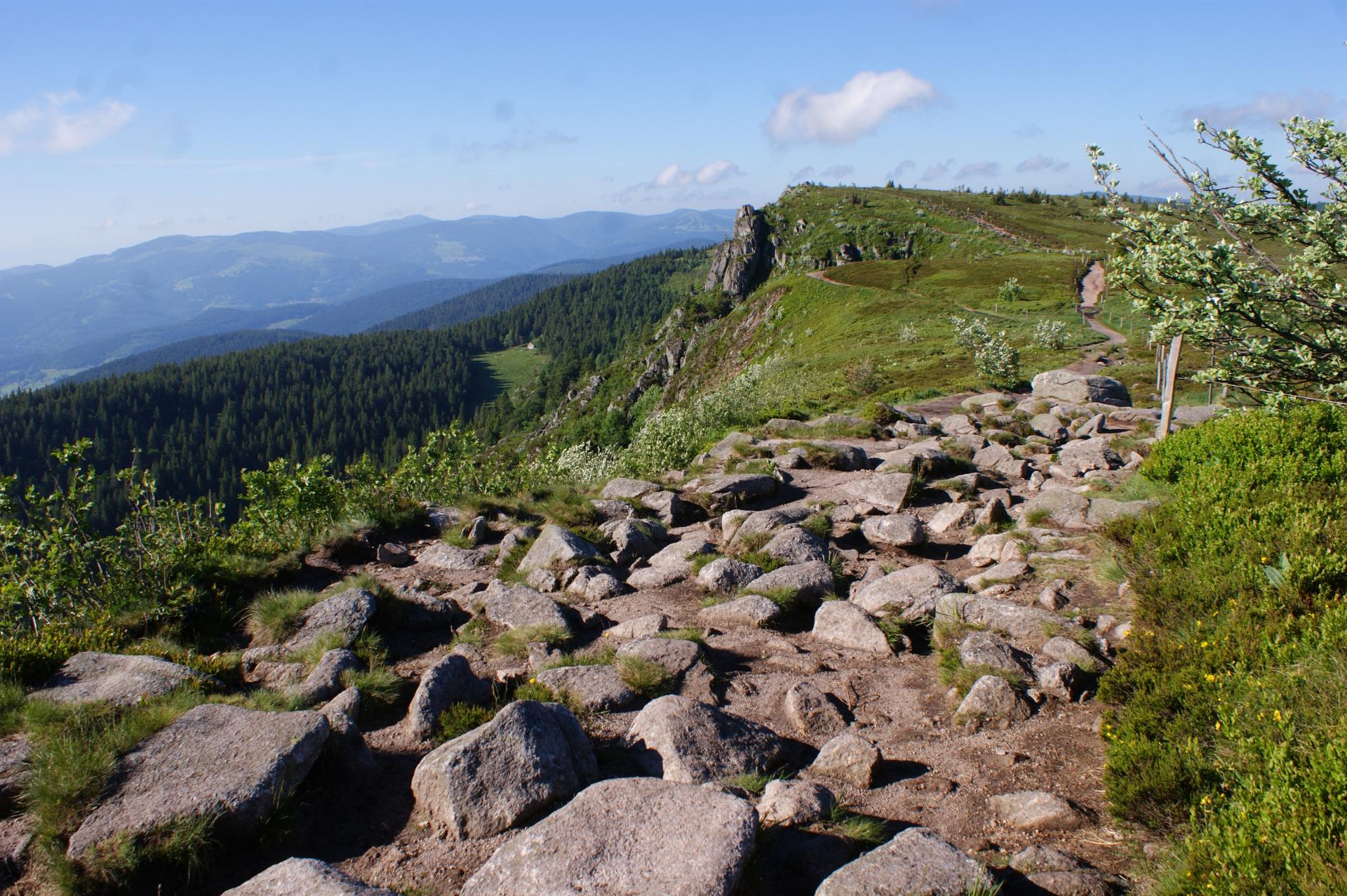 chemin de cailloux (sentier des Crêtes, Vosges)