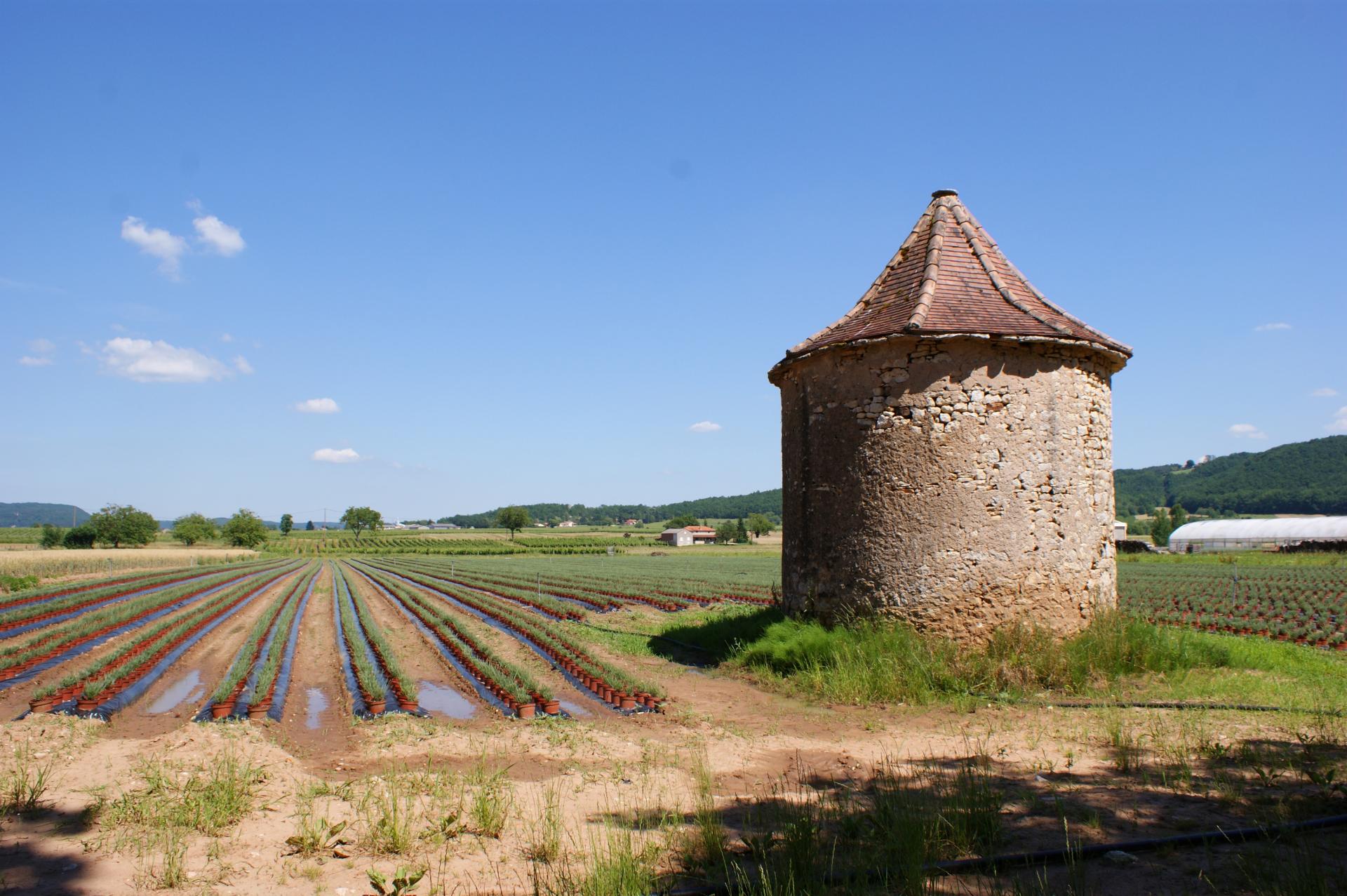 Dordogne