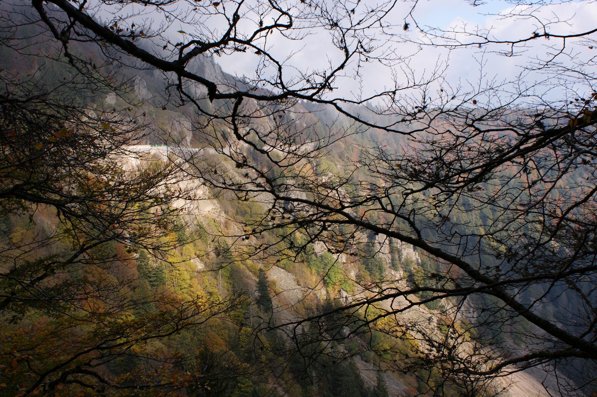 col de la Schlucht