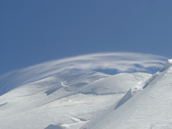 Un âne sur le Mont Blanc