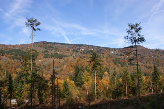 Collines Vosgiennes colorées