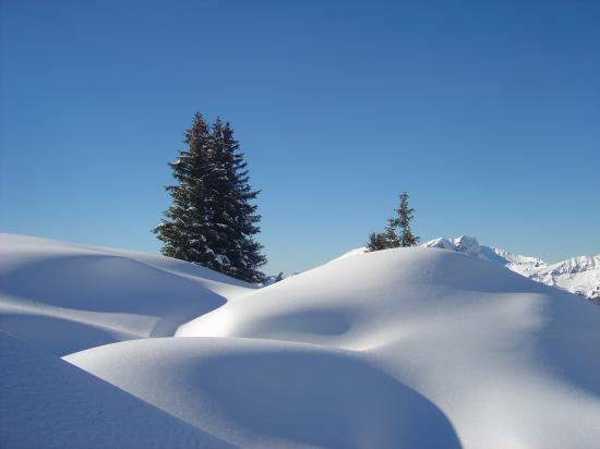 Belles courbes