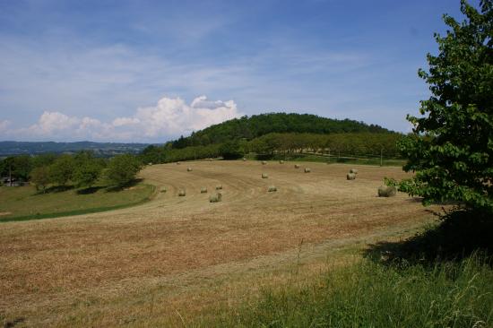 lE Temps des fenaisons