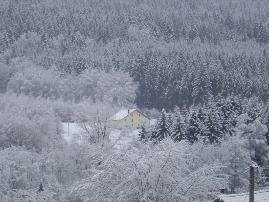 L'hiver dans les Vosges