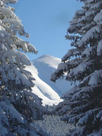 Le Mont Joly