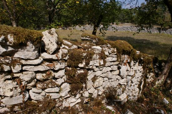 Ils avaient construit des murets jusqu'au sommet de la colline