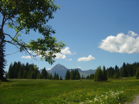 Paysage de Savoie