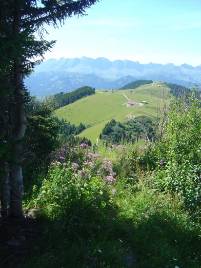 Vue sur Rochebrune