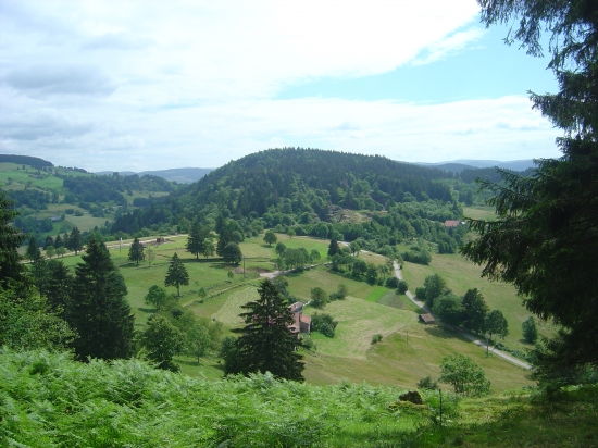 Quiètude des collines Vosgiennes