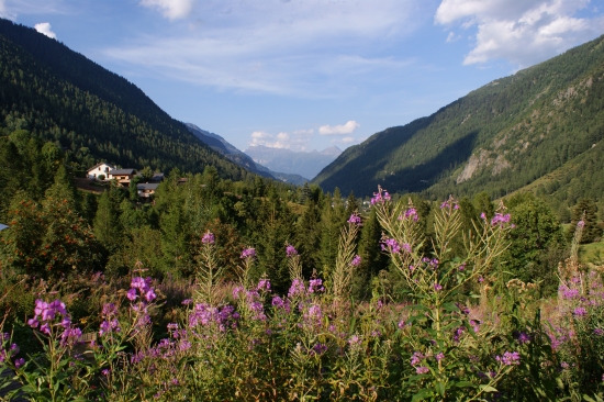 La vallée de Vallorcine