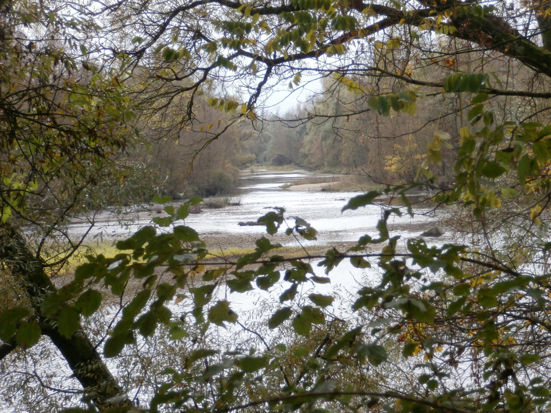 L'Allier à Vichy 