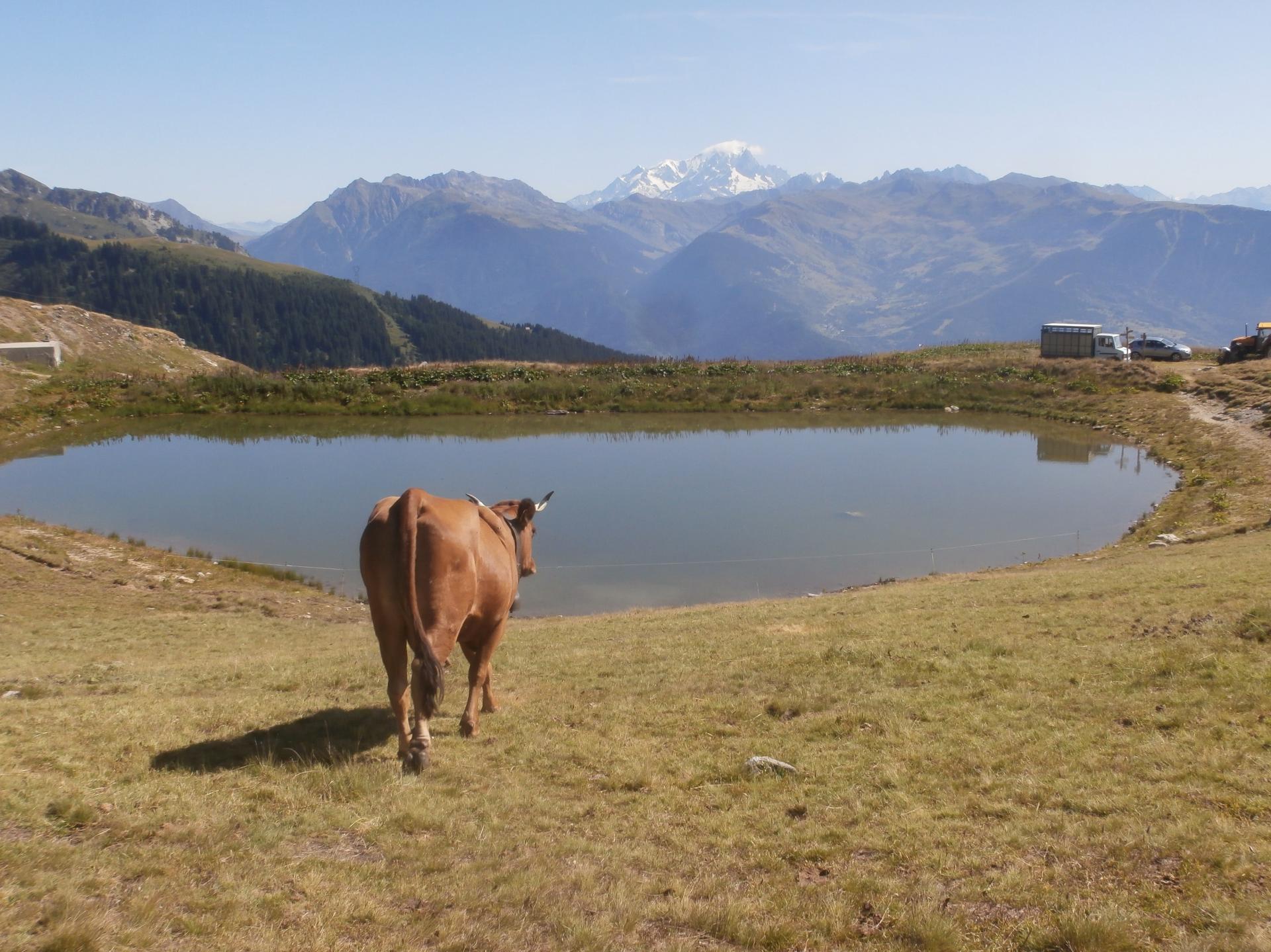 Lauzière (Savoie)
