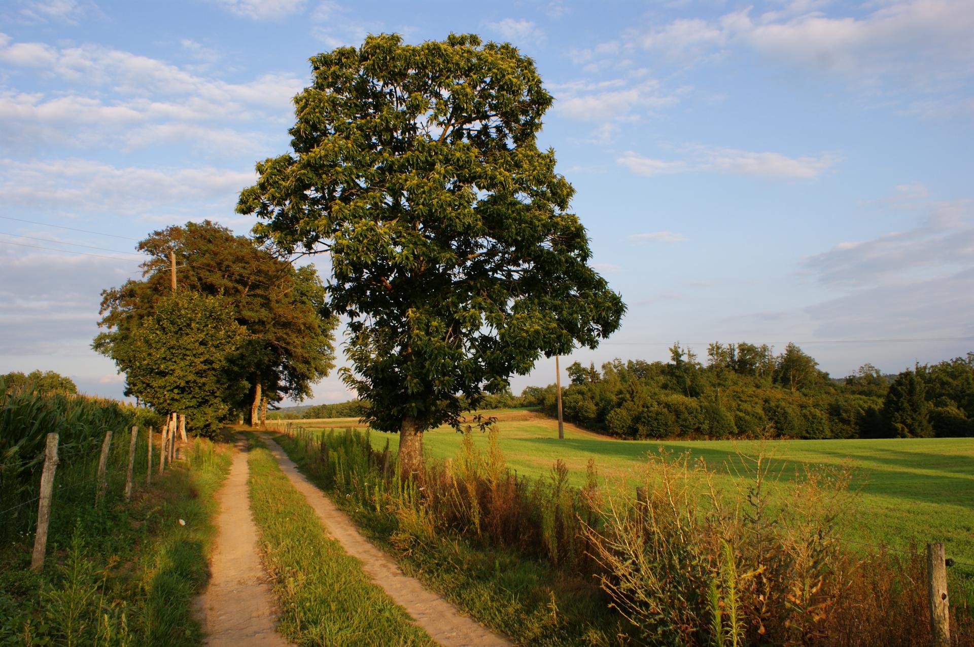 Lavauguyon (Hte Vienne)