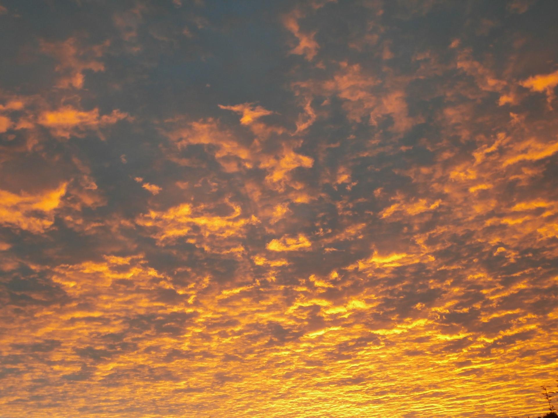ciel doré