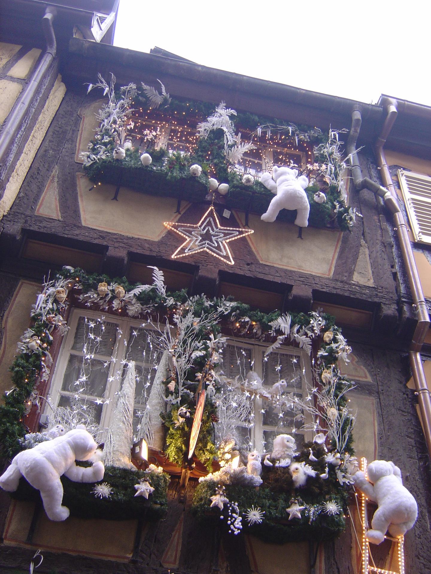 la maison aux ours